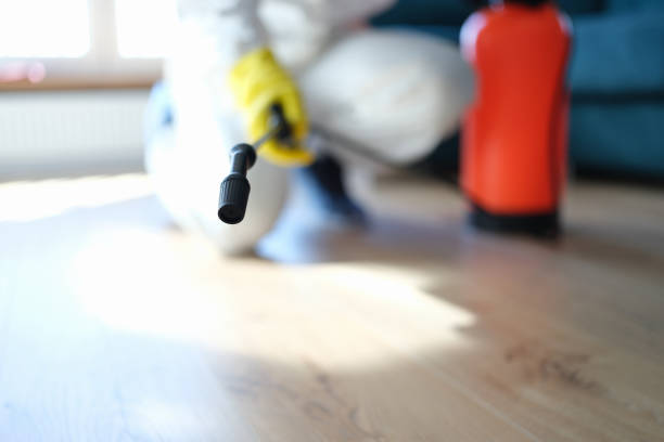 Best Crawl Space Mold Remediation  in Woodlands, CA