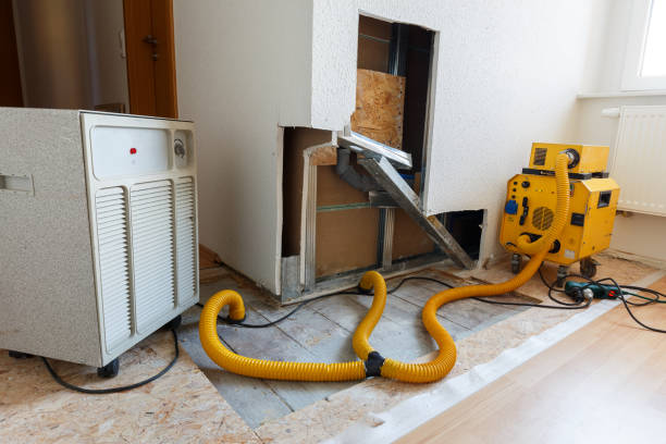 Best Commercial Mold Inspection  in Woodlands, CA