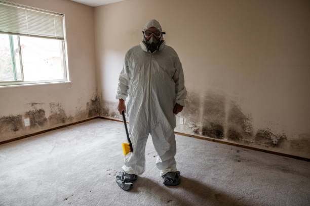 Best Mold Odor Removal Services  in Woodlands, CA